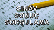 Snav Sonu Sorgulama